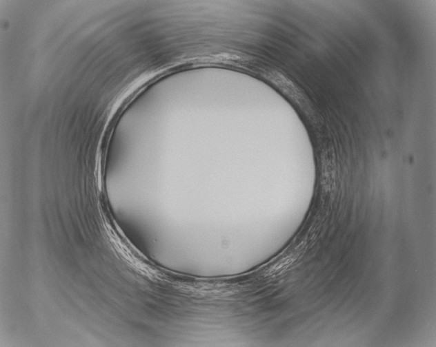 X0000053121036200508012146