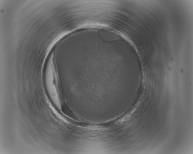 X0000053121037200508012146