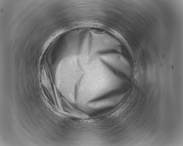 X0000053121043200508012146