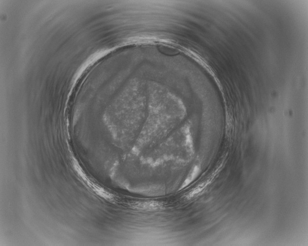 X0000053121045200508012146