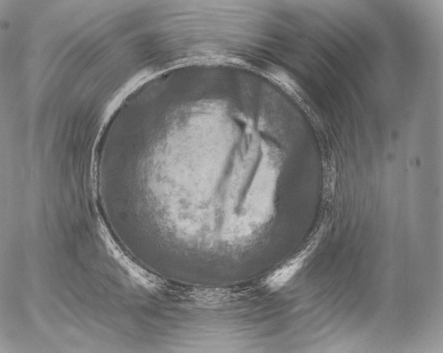 X0000053121046200508012146