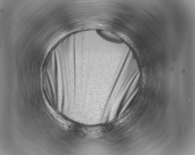 X0000053121047200508012146