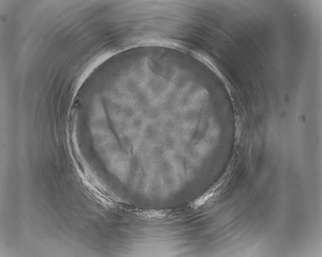 X0000053121048200508012146