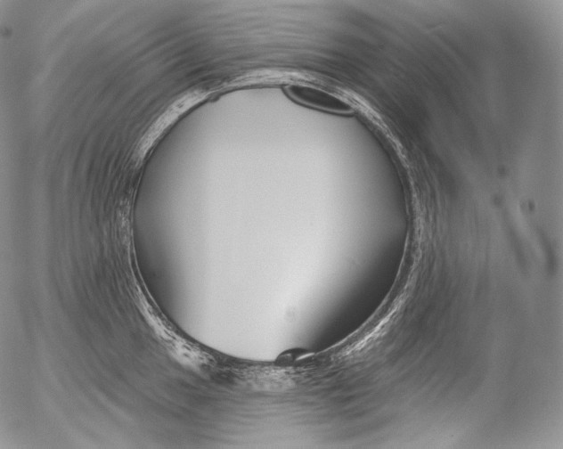 X0000053121049200508012146