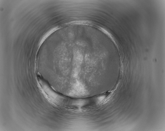 X0000053121050200508012146