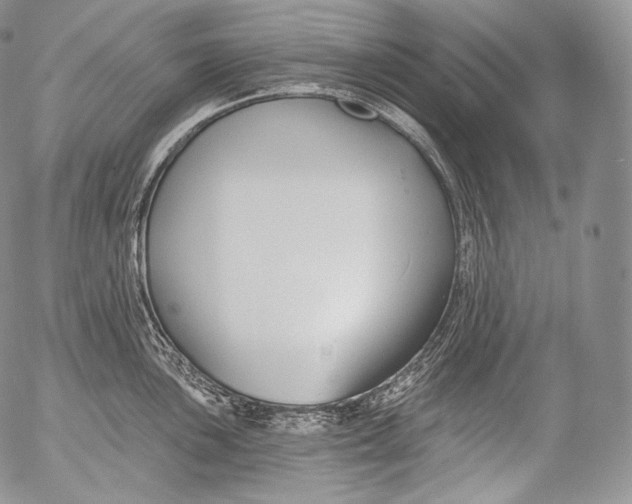 X0000053121051200508012146