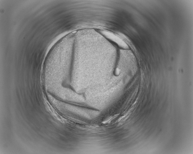 X0000053121052200508012146