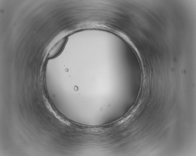 X0000053121053200508012146