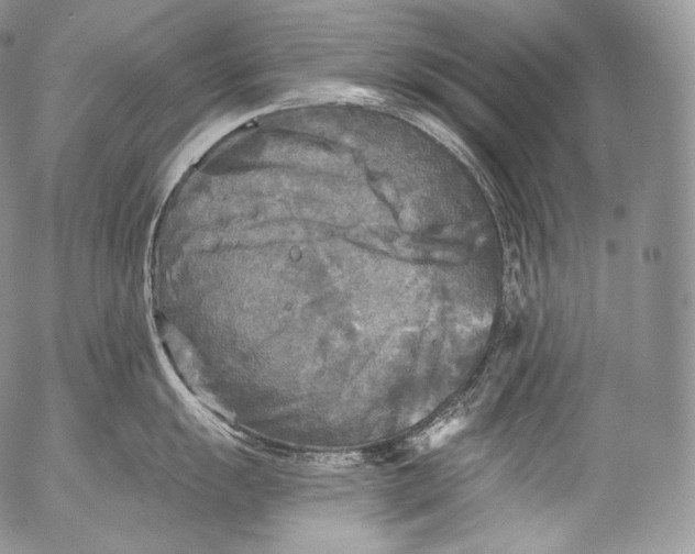 X0000053121055200508012146