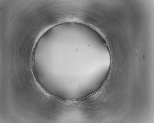 X0000053121056200508012146