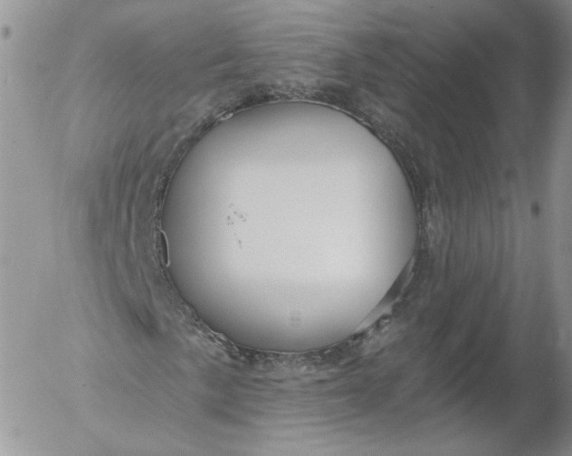 X0000053121057200508012146