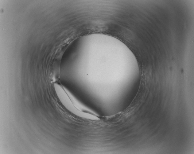 X0000053121058200508012146