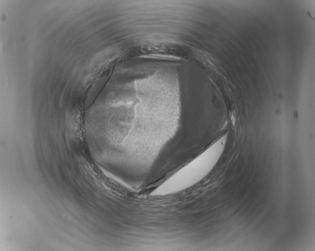 X0000053121060200508012145