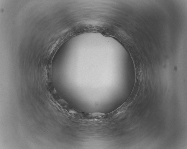 X0000053121061200508012145