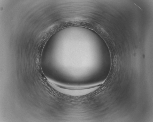 X0000053121062200508012145