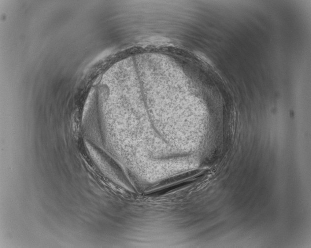 X0000053121063200508012145