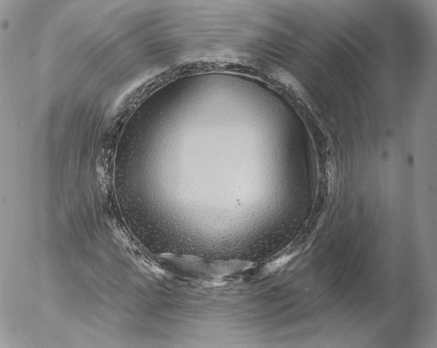 X0000053121064200508012145