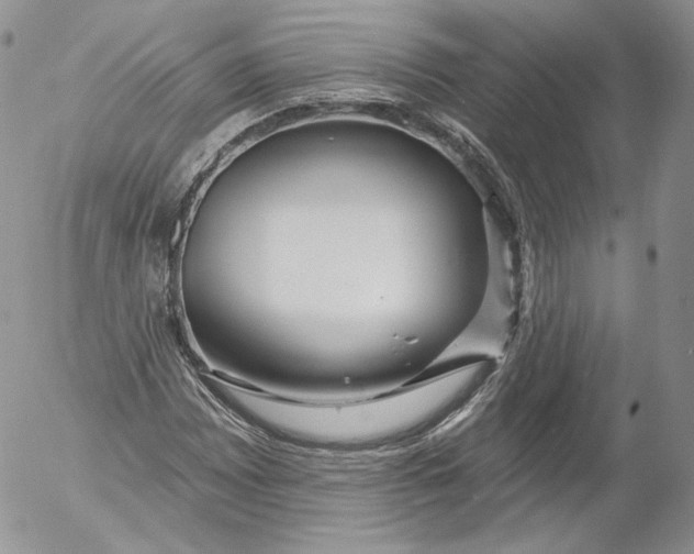 X0000053121065200508012145