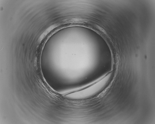 X0000053121066200508012145