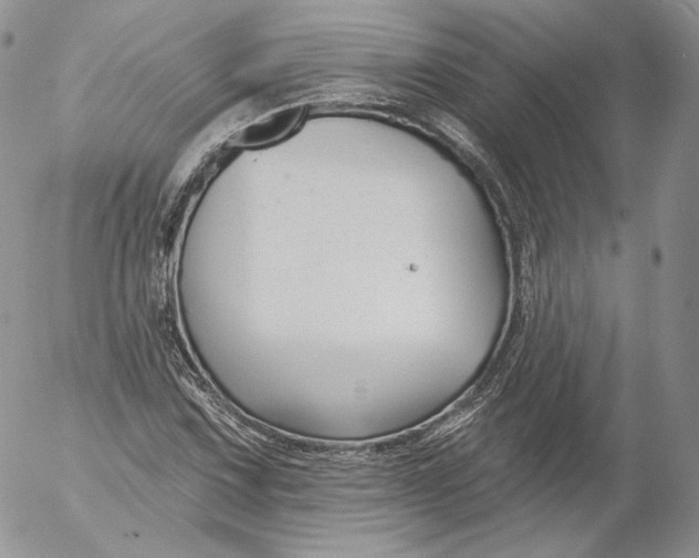 X0000053121067200508012145