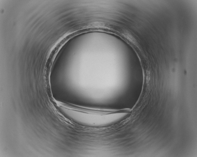 X0000053121068200508012145