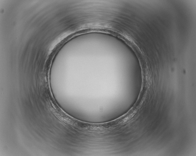 X0000053121070200508012145