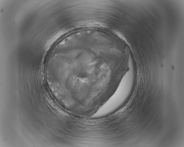 X0000053121071200508012145