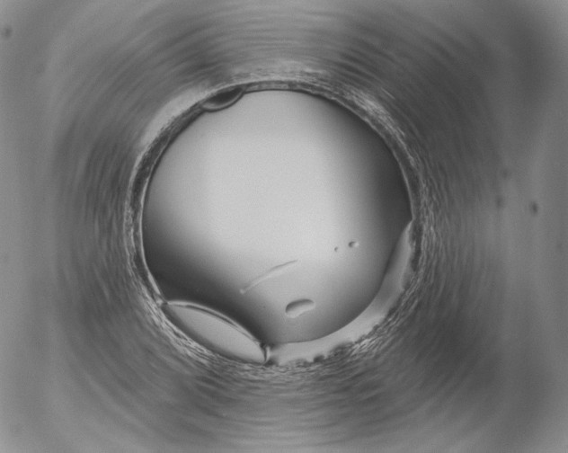 X0000053121072200508012145