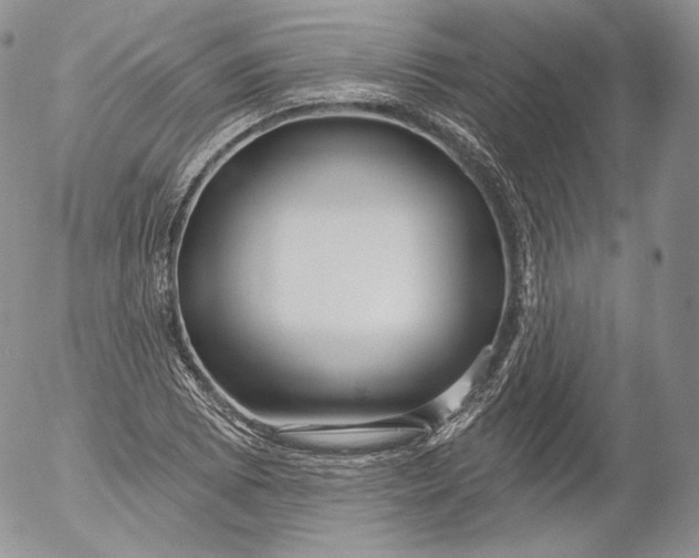 X0000053121073200508012145