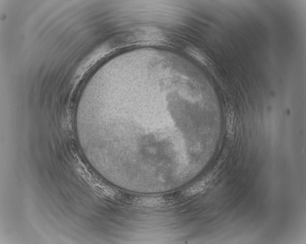 X0000053121074200508012145