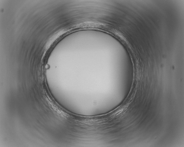 X0000053121075200508012145