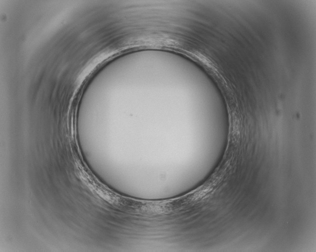 X0000053121078200508012145