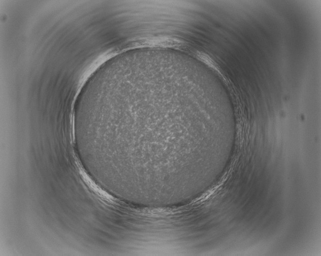 X0000053121079200508012145