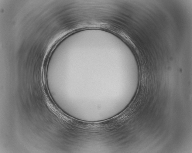 X0000053121080200508012145