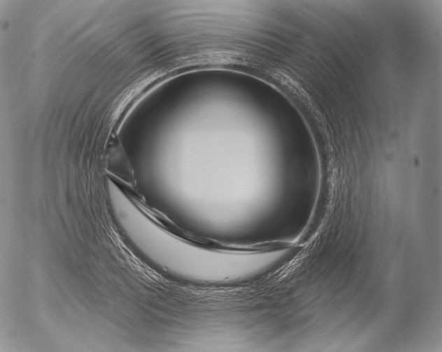 X0000053121081200508012145