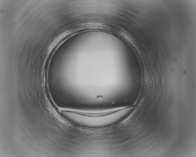 X0000053121082200508012145