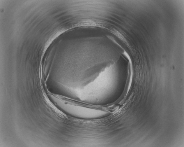 X0000053121084200508012145