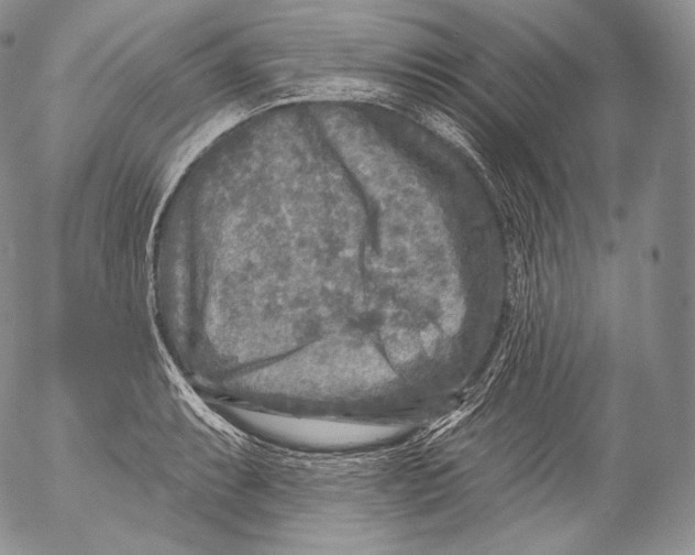 X0000053121087200508012145