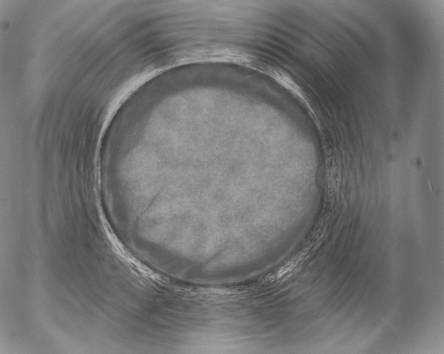 X0000053121088200508012145