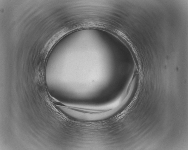 X0000053121089200508012145