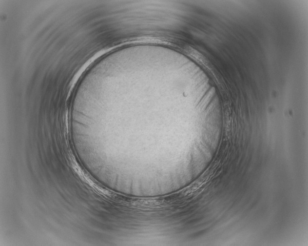 X0000053121092200508012145