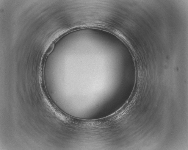 X0000053121093200508012145