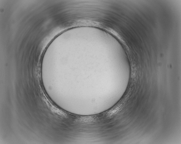 X0000053121094200508012145