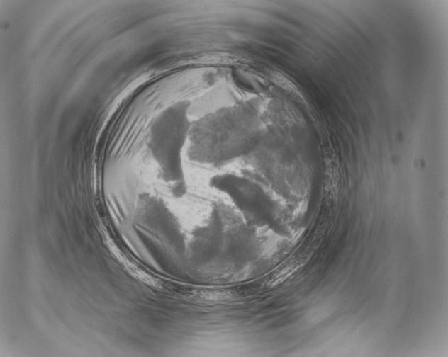 X0000053121095200508012145