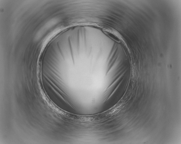 X0000053121096200508012145