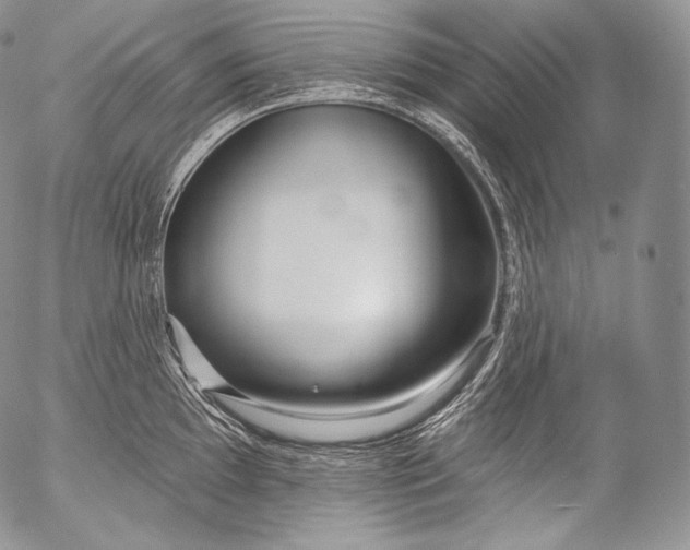 X0000053121097200508012145