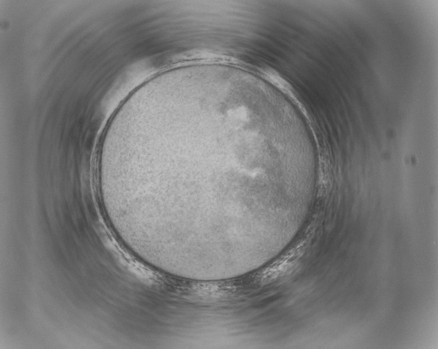 X0000053121098200508012145