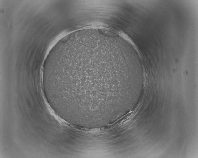 X0000053121099200508012145