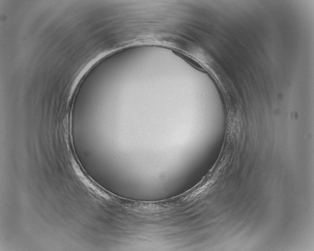 X0000053121100200508012145