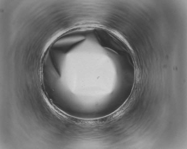 X0000053121101200508012145